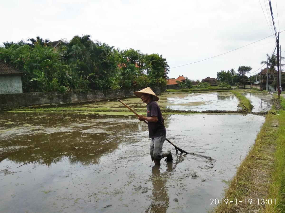 Bhuana Alit 2 Ubud Zewnętrze zdjęcie