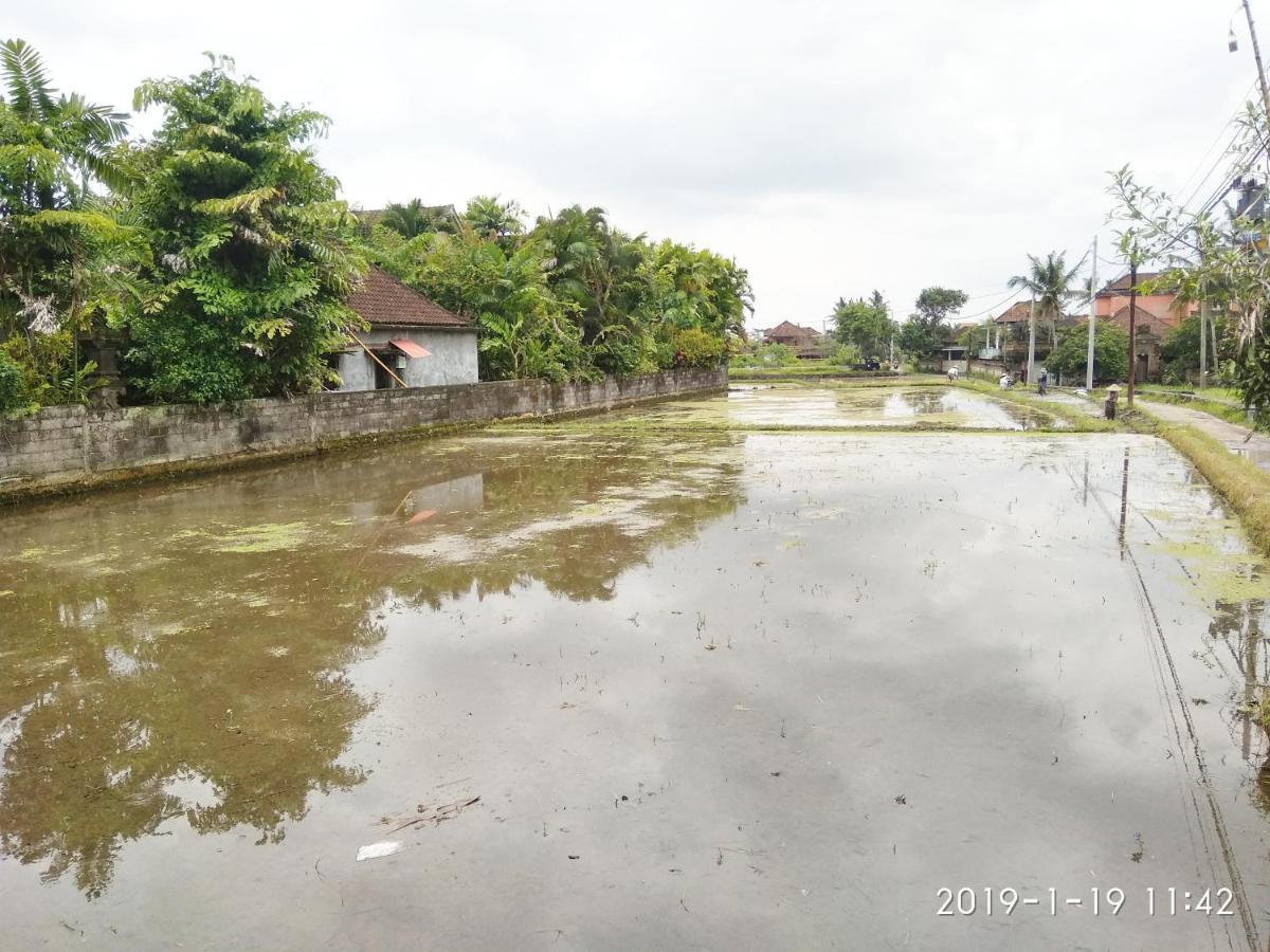 Bhuana Alit 2 Ubud Zewnętrze zdjęcie
