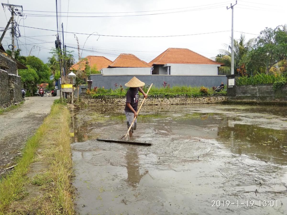Bhuana Alit 2 Ubud Zewnętrze zdjęcie