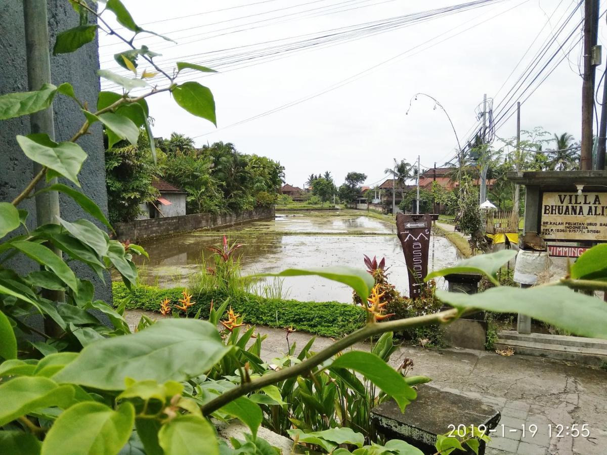 Bhuana Alit 2 Ubud Zewnętrze zdjęcie