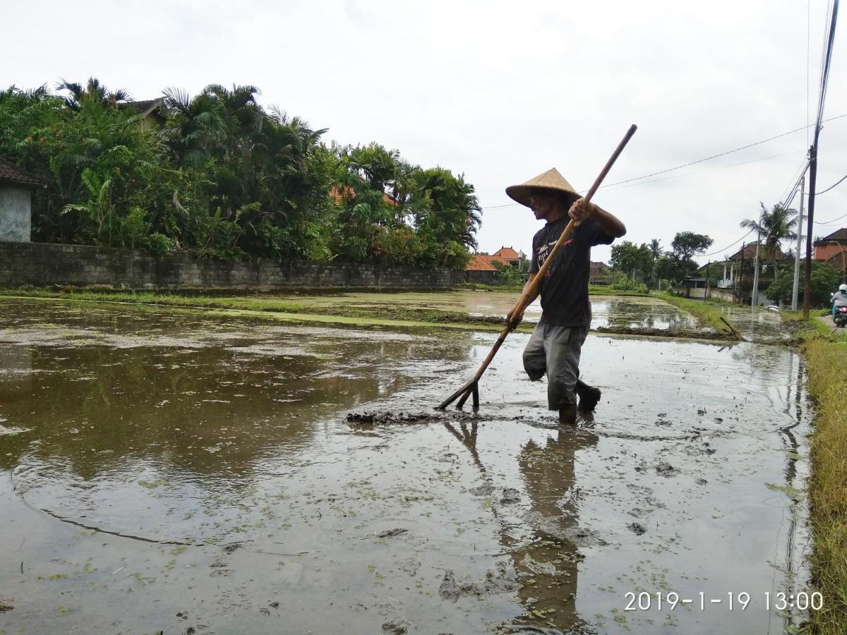 Bhuana Alit 2 Ubud Zewnętrze zdjęcie
