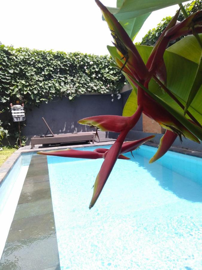 Bhuana Alit 2 Ubud Zewnętrze zdjęcie