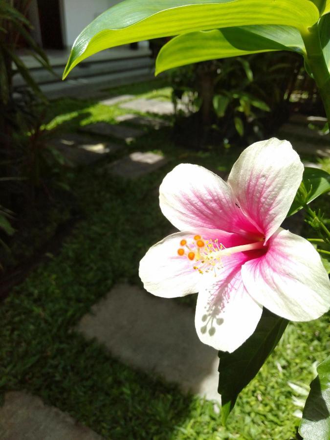 Bhuana Alit 2 Ubud Zewnętrze zdjęcie